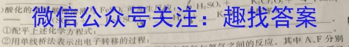 安徽省2023届九年级学情诊断考试化学