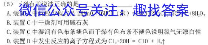 2023年陕西省初中学业水平考试全真模拟(五)化学