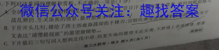 安徽省2023年第六次中考模拟考试练习语文