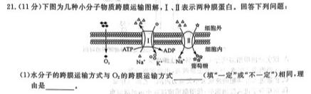 2023年普通高等学校招生统一考试冲刺预测押题卷S3(一)生物