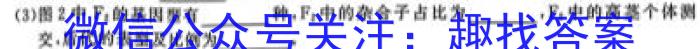中考仿真卷2023年山西省初中学业水平考试(六)生物