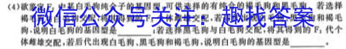 2023年河北省新高考模拟卷（五）生物试卷答案