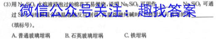 安徽省2024届八年级下学期教学质量检测（六）化学