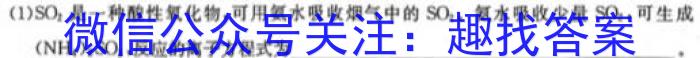 合阳县2023年初中学业水平第一次模拟考试化学