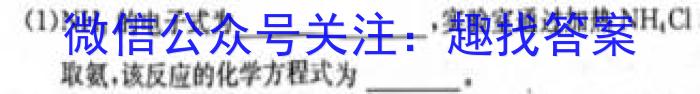 师大名师金卷2023年陕西省初中学业水平考试（四）化学