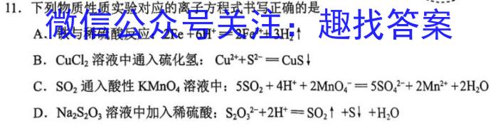 2024-023学年安徽省九年级下学期阶段性质量监测（六）化学