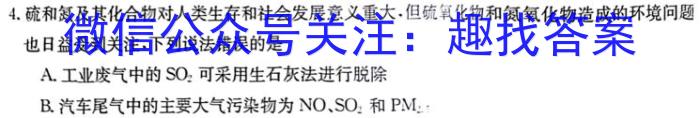 师大名师金卷2023年陕西省初中学业水平考试（四）化学