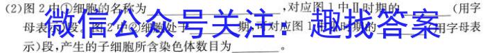 2023高考冲刺试卷 新高考(四)生物
