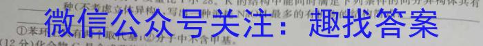 2023年万友中考模拟卷（六）化学