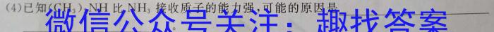 2023年陕西省初中学业水平考试全真预测试卷B版化学