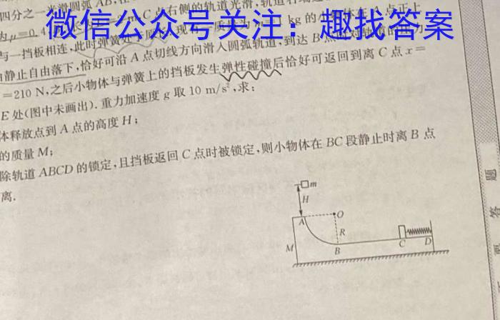 2023年河北省新高考模拟卷（四）物理`