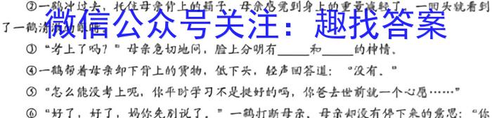 NT2023届普通高等学校招生全国统一考试模拟试卷(一)(新高考)语文