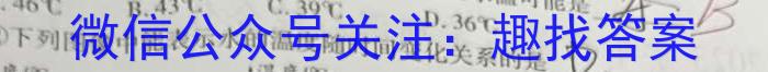 安徽省2023年九年级3月联考.物理