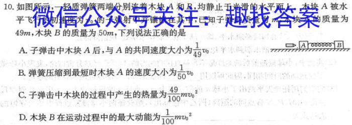 2023年普通高等学校招生全国统一考试 高考模拟试卷(二)物理`