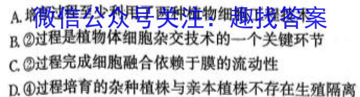 2023届柳州高中/南宁三中高三(4月)联考生物