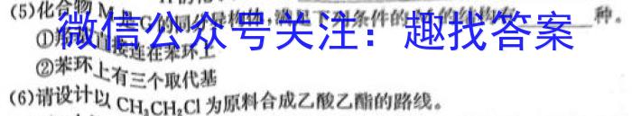 2023年河北省新高考模拟卷（五）化学