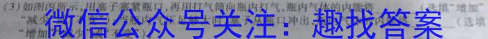 陕西省西安市西咸新区2023年初中学业水平考试模拟试题（一）A版f物理