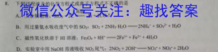 2023年陕西省初中学业水平考试全真模拟（三）C版化学