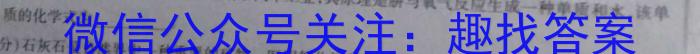2023年河北省新高考模拟卷（四）化学