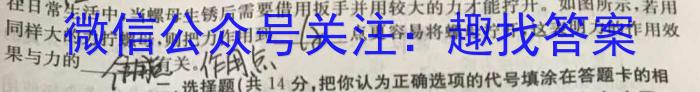 衡中文化2023年衡水新坐标·信息卷(二)物理`