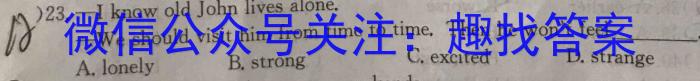 2023年万友中考模拟卷（二）英语