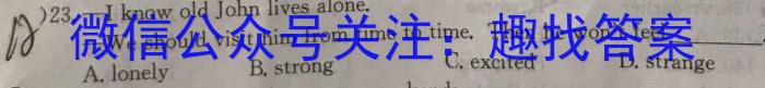 天一大联考 河南省2023年九年级学业水平模拟测评英语