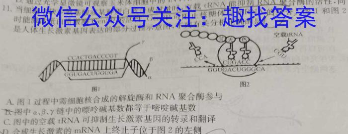 安徽省2024届八年级下学期教学质量监测（六）生物试卷答案