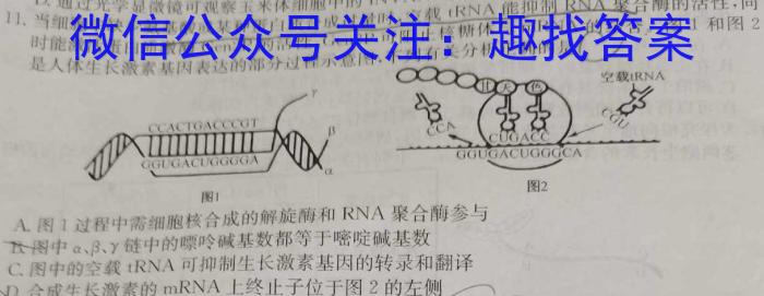 名校之约系列 2023高考考前冲刺押题卷(一)生物