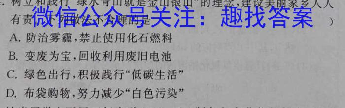 凤庆县2024-2023九年级学业水平测试卷(一)(23-CZ154c)化学