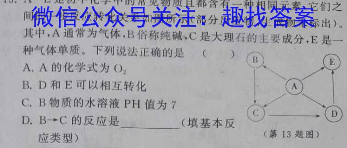 安徽省2023届九年级学情诊断考试化学