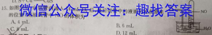 2023年陕西省初中学业水平考试全真模拟（四）B卷化学