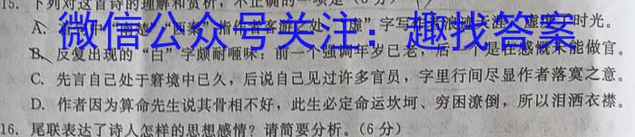 广西2023年4月高中毕业班模拟测试语文