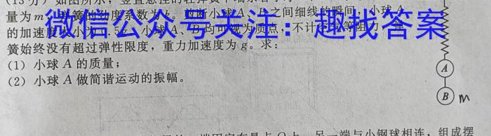 名校之约•安徽省2023年中考导向八年级学业水平测试（五）物理.
