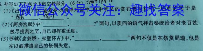 2022-2023学年河南省高二期中考试(23-389B)语文