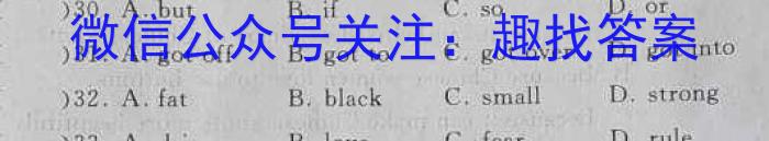 2023届陕西省高三4月联考(标识○)英语