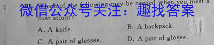 师大名师金卷2023年陕西省初中学业水平考试（五）英语