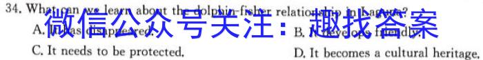 2023年T8联盟高考仿真模拟卷7-8英语