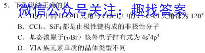 2023年湖南省普通高中学业水平合格性考试仿真试卷(专家版四)化学