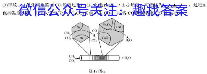 江西省吉安市2023年初中学业水平考试模拟卷化学