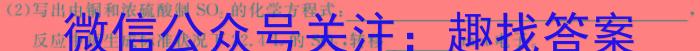 安徽省2022-2023学年度七年级下学期期中综合评估（6LR）化学