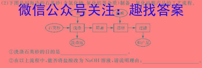 2023年湖南省普通高中学业水平合格性考试仿真试卷(专家版二)化学