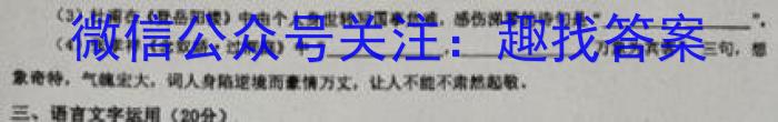 云南师大附中2023年高三4月考(贵州卷)(白白黑白白黑白黑)语文