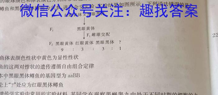 “高考研究831重点课题项目”陕西省联盟学校2023年第二次大联考生物