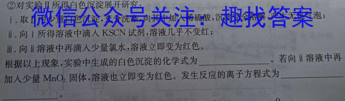 中考模拟压轴系列 2023年河北省中考适应性模拟检测(精练二)化学