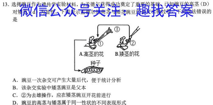 安师联盟2023年中考权威预测模拟考试（六）生物试卷答案