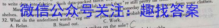 安徽2022~2023学年九年级联盟考试(二)(23-CZ125c)英语