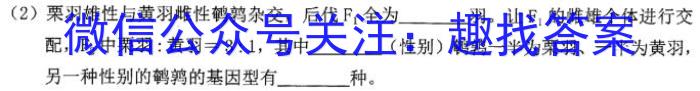 2023年湖南省普通高中学业水平合格性考试模拟试卷(二)生物