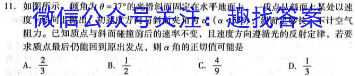 一步之遥 2023年河北省初中综合复*质量检测(一)物理.