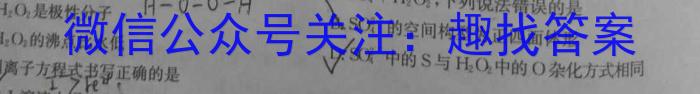 中考必刷卷·2023年安徽中考第一轮复习卷（九）化学