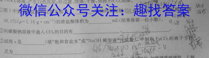 衡中文化2023年衡水新坐标·信息卷(五)化学